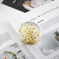Elegant 6cm clear crystal ball featuring preserved white daisy flowers for home decor - Yellow White Daisy Gear Shift Knob / 6cm
