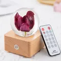 Tulip flower specimen crystal ball night light on wooden base with wireless remote control. - Wood Base Red Tulip Bluetooth (Preserved Flower Night Light)