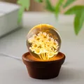Warm glowing crystal ball night light featuring dried daisies on a premium walnut wood base - 6cm Yellow Daisy Sphere / USB Plug-in