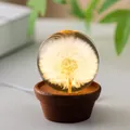 Glowing dandelion preserved flower crystal ball night light on walnut solid wood base - 7cm Dandelion Sphere / USB Plug-in