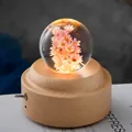 Elegante kristallen bol nachtlamp met roze bloemen en een massief houten basis - 6cm Rood Madeliefje Muziekdoos Kasteel in de Lucht (320)