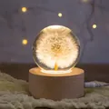 Konservierte Löwenzahn-Kristallkugel-Nachtlampe mit rundem Holzsockel und warmem LED-Licht - Stecker-Nachtlicht (Löwenzahn) / Mittlere Größe (7cm Durchmesser Kugel)