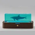 Luce notturna creativa in resina oceanica con delfino e base in legno per arredamento - Delfino