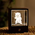 Exquisite 3D laser engraved cat crystal night light within a dark wood display box - Sassy Cat / Square