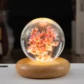 Lichtgevende kristallen bol nachtlampje met roze droogbloemen op ronde houten voet - 7cm Rood Madeliefje Bol (320)