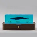 Luce notturna balena blu creativa con blocco in resina e base in legno scuro art - Balena Azzurra con Alghe