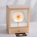 Warm glowing dandelion resin crystal night light cube ornament with a wooden frame - Maple-Square Dandelion / Seven-Color + Three-Color Dimming