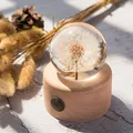 Löwenzahn Kristallkugel Spieluhr auf einem Sockel aus Naturholz für Wohndekoration - Kleiner runder Dekostil (Löwenzahn) / Mittlere Größe (7cm Durchmesser Kugel)