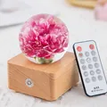 Elegant preserved pink carnation crystal ball music box with wooden LED base and remote - Red Carnation (A20)