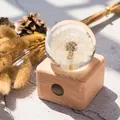 Creative dandelion preserved flower crystal ball music box on a square wooden base - Small Square Ornament Style (Dandelion) / Medium Size (7cm Diameter Ball)
