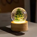 Creative Christmas tree crystal ball night light with wooden base decor - Christmas Elk (Rechargeable)