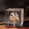 Élégant cube en résine avec fleurs éternelles roses et blanches pour cadeau déco - Marguerite Rouge et Blanche