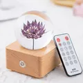 Dandelion crystal ball music box night light with purple preserved flower and remote - Astrantia (A20)
