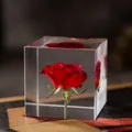 Rose rouge éternelle encapsulée dans un cube de résine transparent - Boîte en Papier Standard / Rose Rouge
