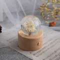 Creative crystal ball music box with dried flowers and touch light wooden base - Small Round Touch Charging Night Light Style (White Daisy) / Medium Size (7cm Diameter Ball)