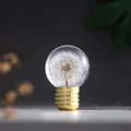 Creative dandelion crystal ball night light in bulb shape, artistic home decor ornament - Dandelion Rechargeable Bulb