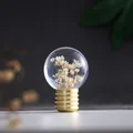 Creative light bulb shaped crystal ball night light with white dried flowers decor - White Chrysanthemum Rechargeable Bulb