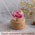 Kristallkugel mit konservierter rosa Nelke auf Holzsockel und Touch-Nachtlicht-Funktion. - Kleine runde Touch-Lade-Nachtlampe (Rote Nelke) / Große Größe (8cm Durchmesser Kugel)