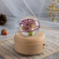 Elegante Kristallkugel-Spieluhr mit konservierter lila Nelke auf einem Premium-Holzsockel - Große runde rotierende Spieluhr mit warmem Licht (Lila Nelke) / Mittlere Größe (7cm Durchmesser Kugel)