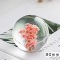 Boule de cristal de 80mm avec fleurs roses séchées pour décoration intérieure - Style Marguerite Rouge / Pack de 80mm / Rouge