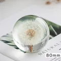 Élégant presse-papier boule de cristal pissenlit de 80 mm avec spécimen de plante naturelle - Style Pissenlit / Pack de 80mm / Blanc