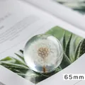 Boule de cristal de pissenlit 65mm presse-papiers décoration de table bureau maison - Style Pissenlit / Taille 65mm / Blanc