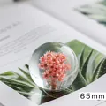 Boule de cristal 65mm avec fleurs séchées roses, ornement de table élégant en verre - Style Marguerite Rouge / Taille 65mm / Rouge