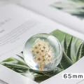 Élégante boule de cristal de 65mm avec fleurs séchées blanches ornement de presse-papier - Style Marguerite Jaune / Taille 65mm / Jaune