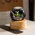Creative resin crystal ball night light featuring a deer and mountain scene on wood - Mountain Elk (Rechargeable)