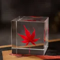 Feuille d'érable rouge préservée intégrée dans un cube de résine transparente décoratif - Boîte en Papier Standard / Feuille d’érable