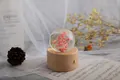 Konservierte Blumen Spieluhr Kristallkugel mit rosa Trockenblumen auf Holzsockel - Kleines rundes Touch-Lade-Nachtlicht (Rosa Gänseblümchen) / Mittlere Größe (7cm Durchmesser Kugel)