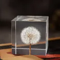 Cube en résine transparent contenant une véritable tête de graine de pissenlit - Boîte en Papier Standard / Pissenlit