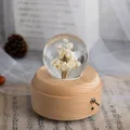 Handgefertigte Kristallkugel-Spieluhr mit Trockenblumen auf einem edlen Holzsockel - Große runde rotierende Spieluhr mit warmem Licht (Weiße Margerite) / Mittlere Größe (7cm Durchmesser Kugel)