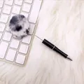 Cute panda-colored fluffy pom-pom ballpoint pen with grey gradient faux fur detail - Panda Black