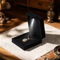 Boîte à pendentif LED en velours noir haut de gamme avec projecteur intégré - Boîte à Pendentif / Noir