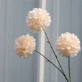 Drei-köpfige künstliche Pom-Pom-Chrysanthemen-Stiele in Cremeweiß für die Hochzeit - Champagner