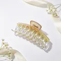 Detailed macro view showing UV-plated jelly gradient texture of the dragon bone hair claw clip. - Dragon Bone Style / Gradient Champagne