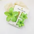 Detailed view of three green frangipani flower hair claw clips on a white card - 3-Piece Set (1 Large 2 Small) / Green & Green
