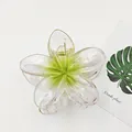 Close-up of a translucent plumeria flower hair claw clip with a vivid green gradient center - Frangipani (7*) / 8cm Size / Transparent Green