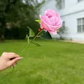 Realistic single stem artificial pink rose for wedding decor and home floral arrangements. - Pink