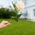 Elegant artificial cream white rose stem with green leaves for home and wedding decor - Champagne