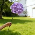 Elegante einzelne lila künstliche Hortensie am Stiel für Hochzeit und Heimdeko - Hellviolett