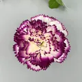 Artificial carnation flower head with purple and white serrated petals for DIY decor - Carnation Flower Head (B款花头4#) / Purple White Gradient