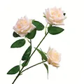 Realistic creamy white artificial multi-headed rose stem for elegant wedding home decor - 3-Head / Champagne
