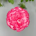 Artificial pink carnation flower head for wedding road lead DIY home decoration - Carnation Flower Head (B款花头11#)