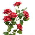 Lifelike multi-head artificial red roses branch for wedding and home decoration - 6-Heads / Red
