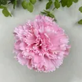 Beautiful pink artificial carnation flower head for wedding DIY decor and home styling - Carnation Flower Head (B款花头20#)