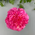 Realistic artificial pink carnation flower head for wedding DIY floral and home decor - Carnation Flower Head (B款花头21#)