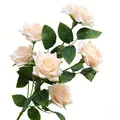 Elegant cream artificial multi-head rose bouquet for wedding and home decoration - 6-Heads / Champagne