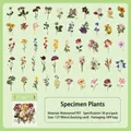 Wasserfeste Blumen-PET-Aufkleber für DIY-Scrapbooking, 50 Blatt Set - Botanisches Exemplar / 50 Blatt
